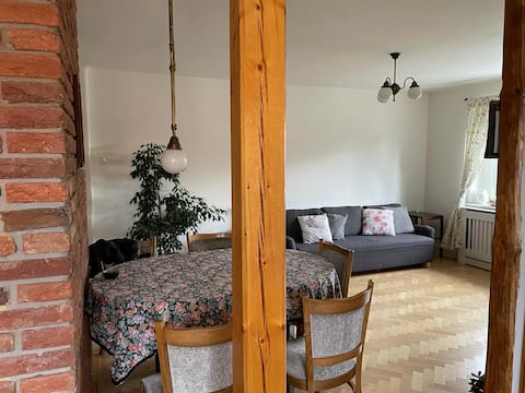 Top performing Airbnb: Attic apartment with parking included Prague in Praha 6