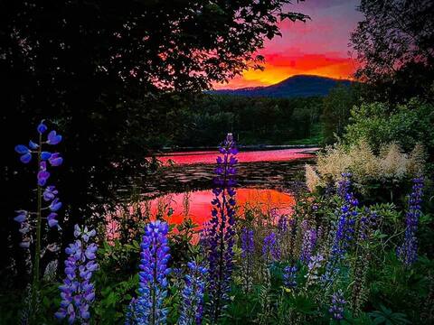 Yndestad cabin
gardening