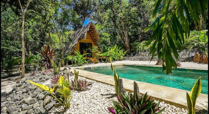 Cabinas de Lou Eco Lodge 3 Tamarindo