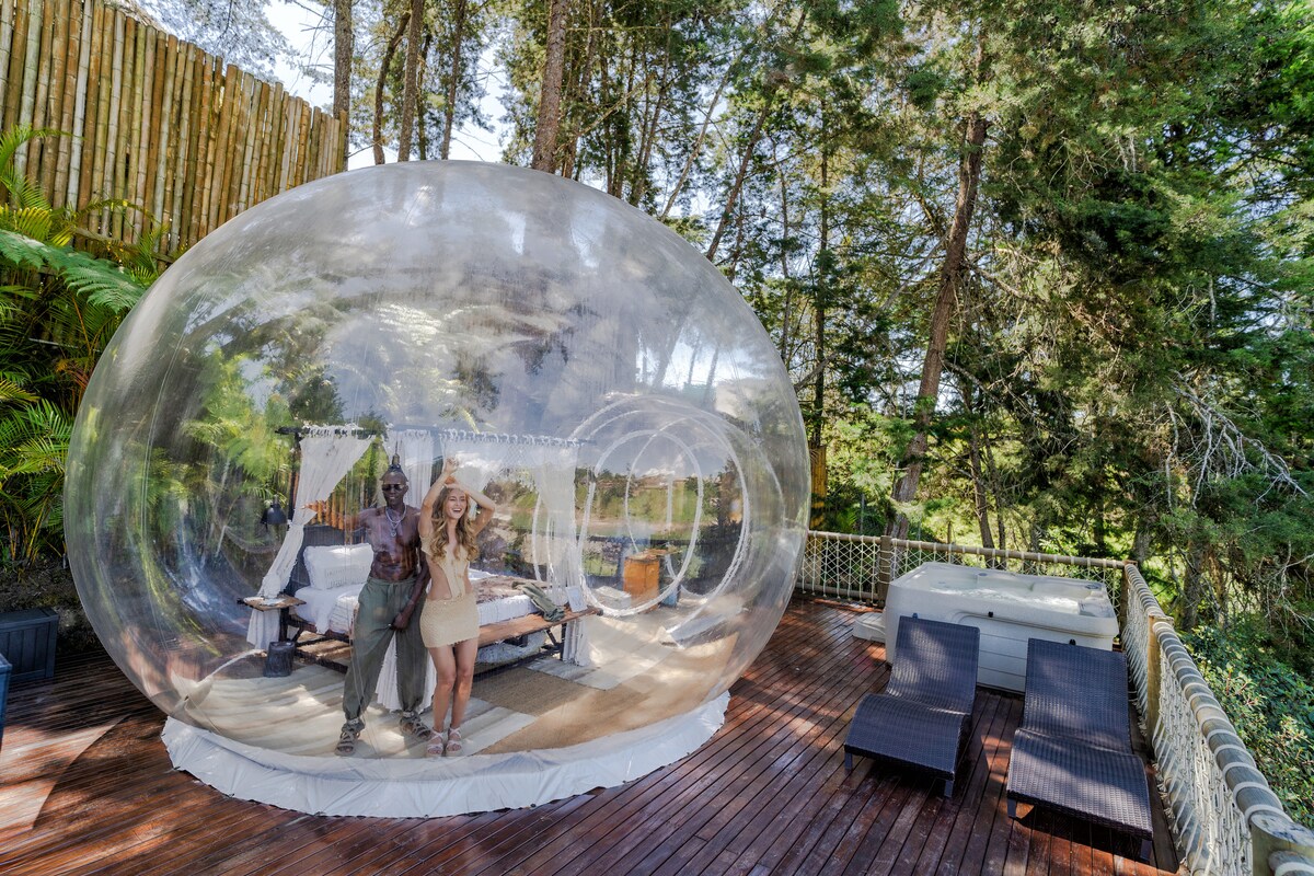 A transparent bubble structure is nestled among trees, offering a cozy retreat. Inside, a spacious bed is framed by light curtains, while a wooden deck area features loungers and a hot tub nearby, enhancing the natural surroundings and inviting relaxation.