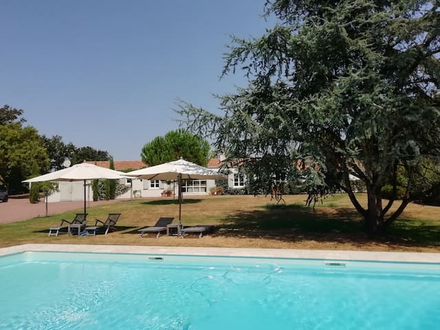 Guest favorite listing in Talmont Saint Hilaire