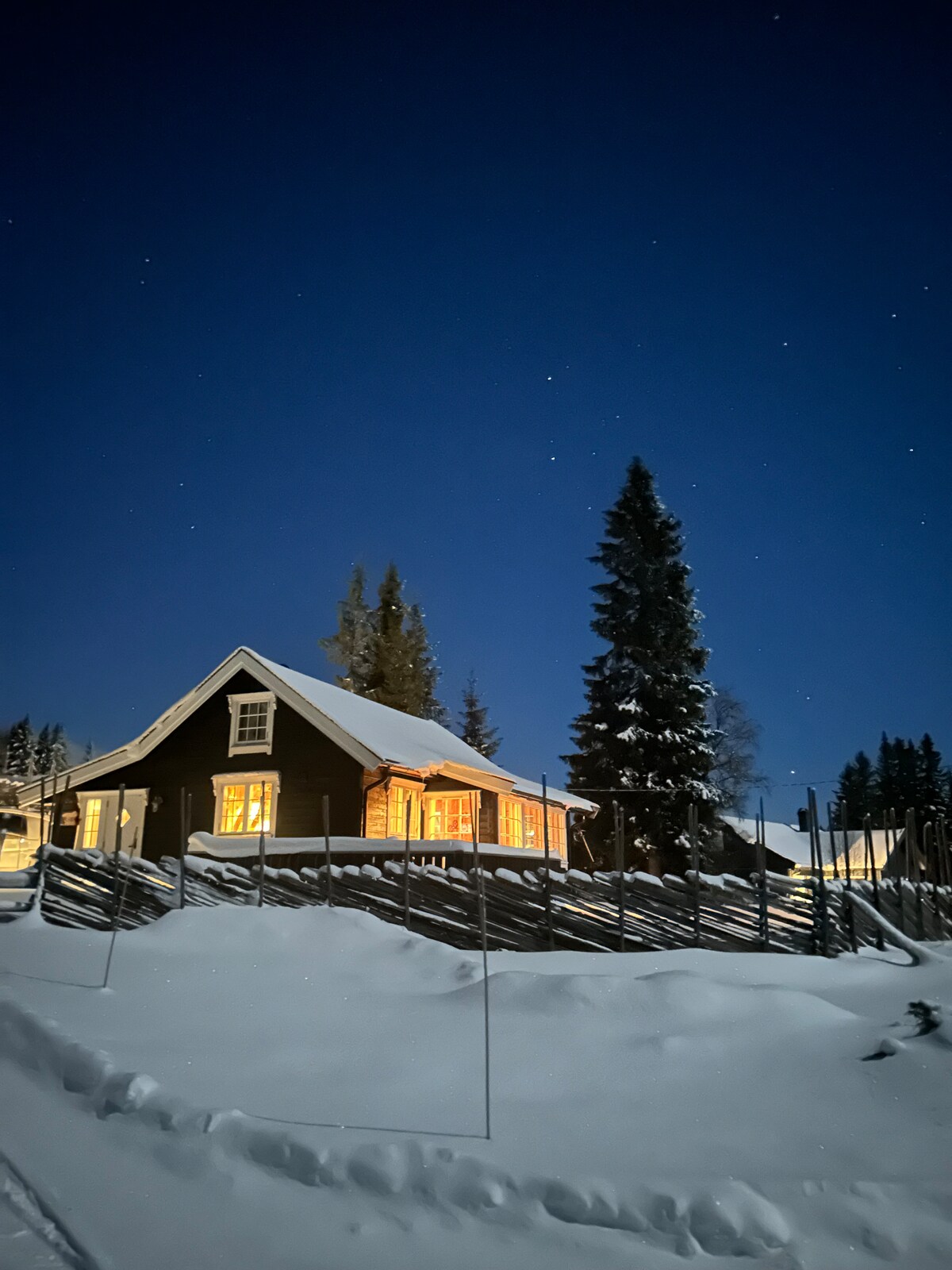 A charming cabin is viewed against a night sky filled with stars. Snow blankets the ground, and warm light emanates from the windows, creating a welcoming ambiance. Surrounding trees are dusted with snow, enhancing the peaceful winter landscape.