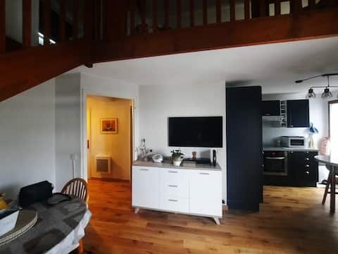 Popular Airbnb listing: Charming apartment with mezzanine in the city center in Saint Jorioz