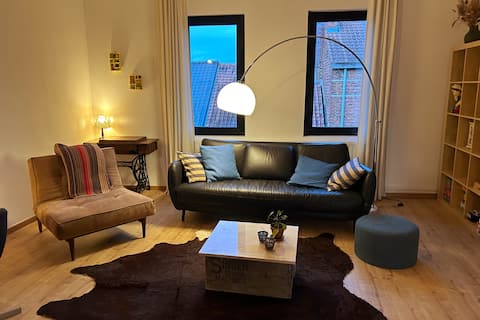 Successful Airbnb property: Spacious apartment in Leuven in Leuven