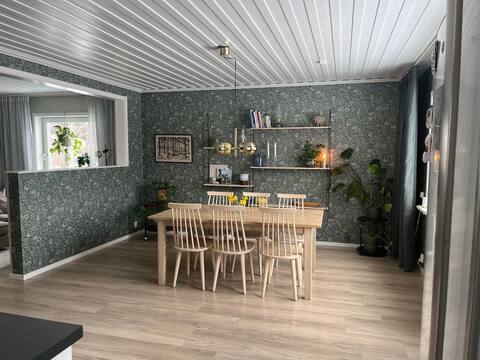 The house on Norra Pitholm