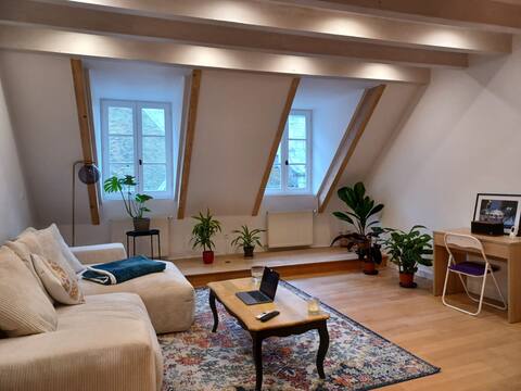 Cozy apartment - City Center