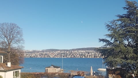 Kilchberg apartment with direct lake view