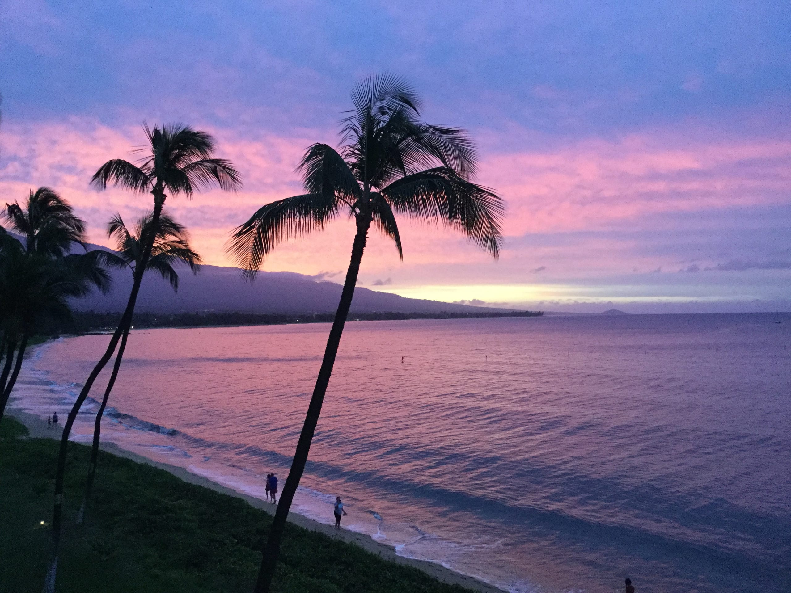 Condo in Kihei · ★5.0 · 1 bedroom · 3 beds · 1 bath - Image 16