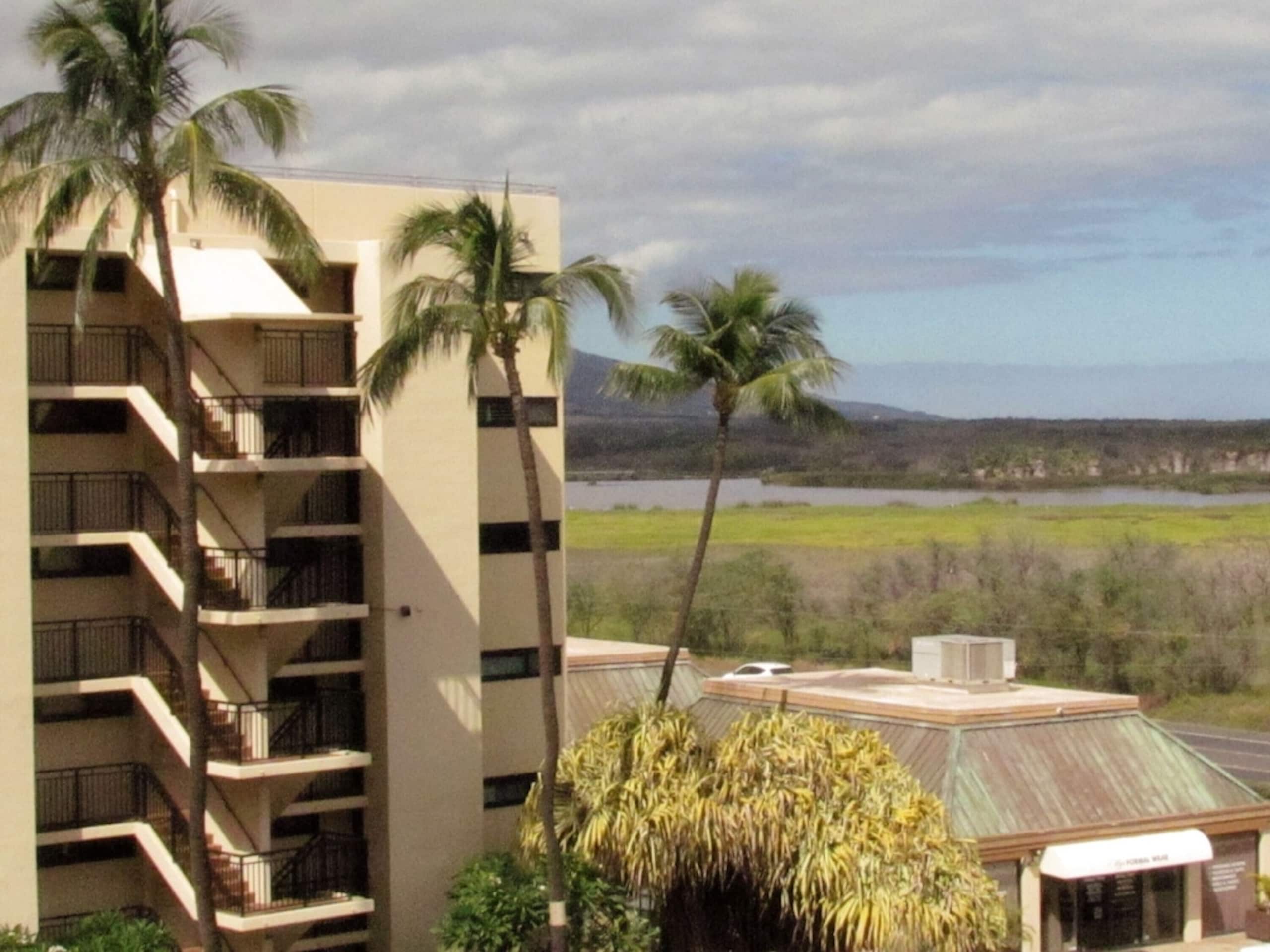 Condo in Kihei · ★5.0 · 1 bedroom · 3 beds · 1 bath - Image 21