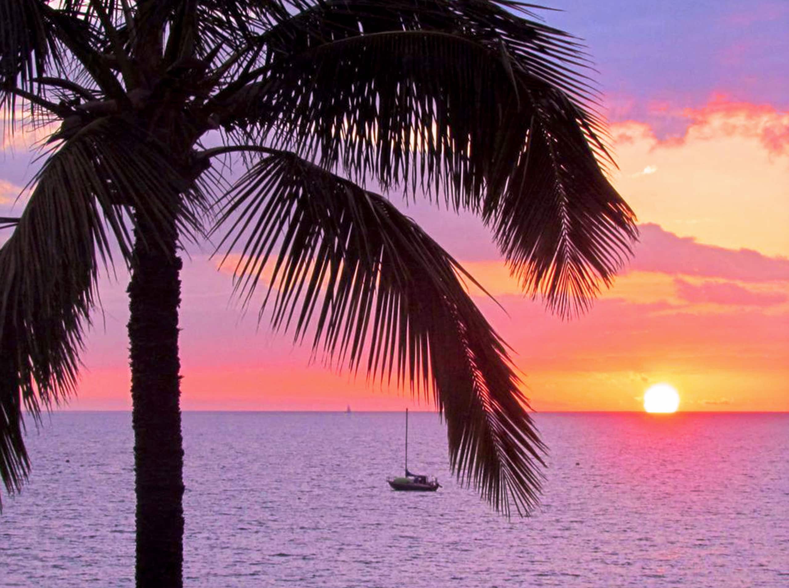 Condo in Kihei · ★5.0 · 1 bedroom · 3 beds · 1 bath - Image 2