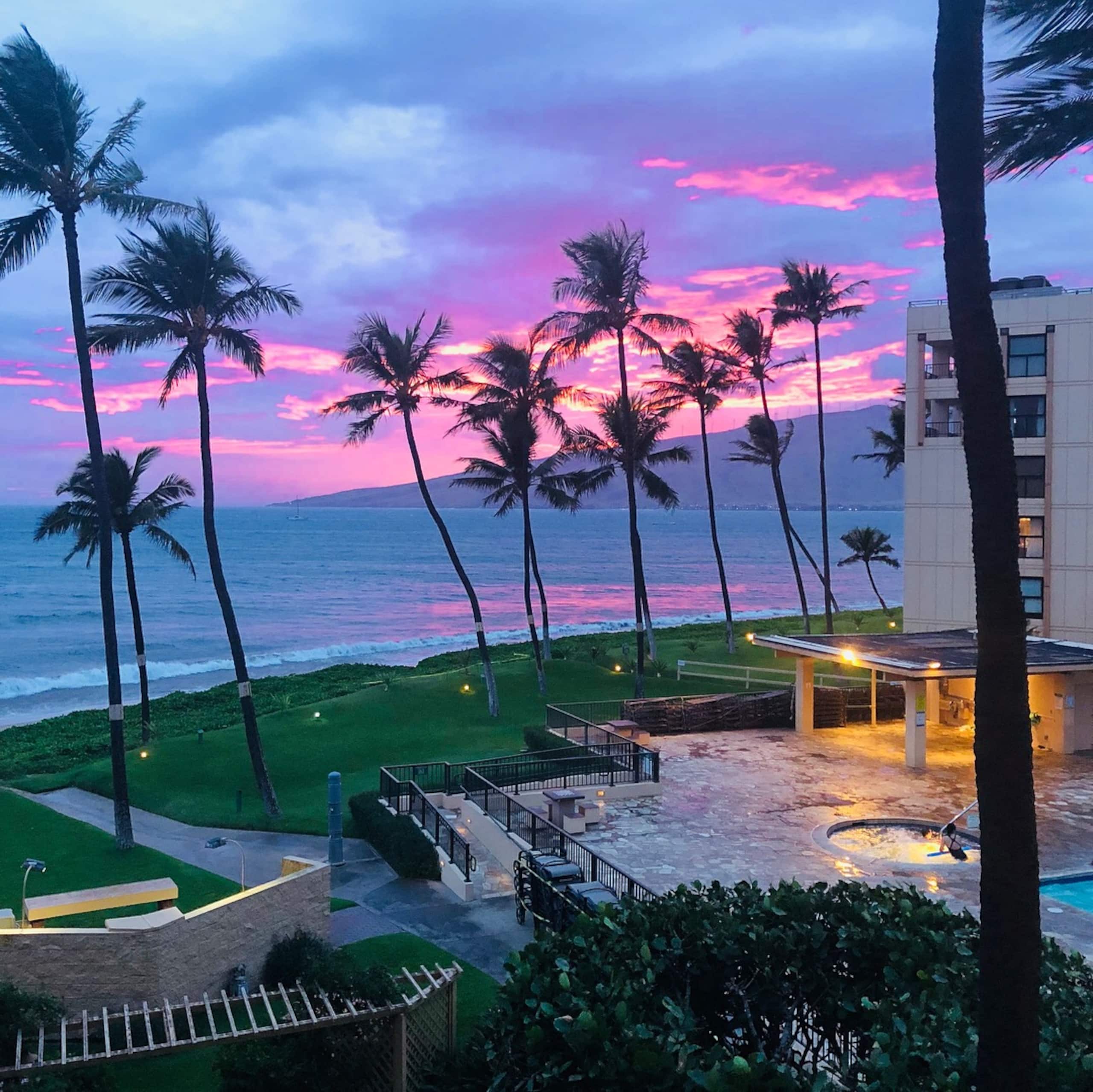 Condo in Kihei · ★5.0 · 1 bedroom · 3 beds · 1 bath - Image 26