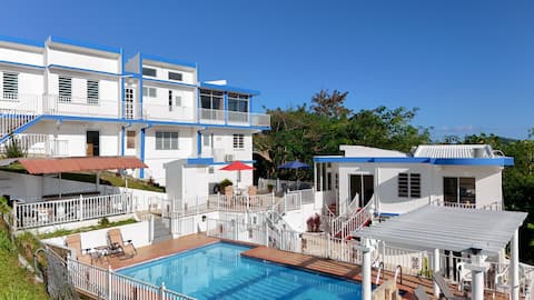 Humacao Mansion 8BR, Pool, Ocean & Rainforest View