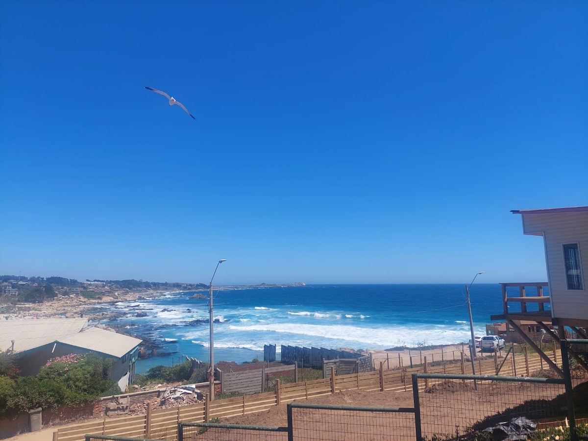 A clear blue sky stretches over the coastline, where waves gently crash against rocky shorelines. A bird glides above the landscape, capturing a sense of tranquility. The view conveys the serene beauty of the coastal surroundings, enhancing the connection to nature.