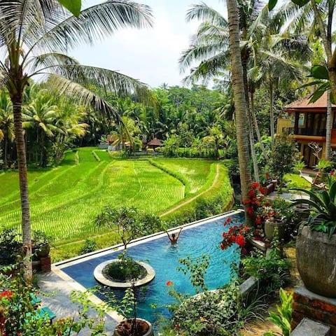 Uma Tabanan 8 Adult Bali