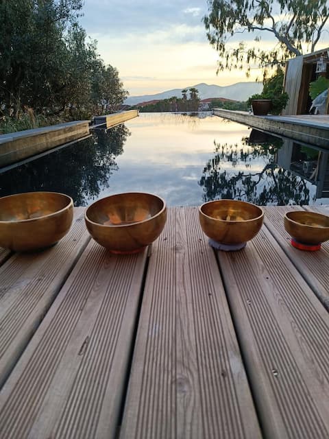 Beautiful Provençal farmhouse, 15 m pool, large garden