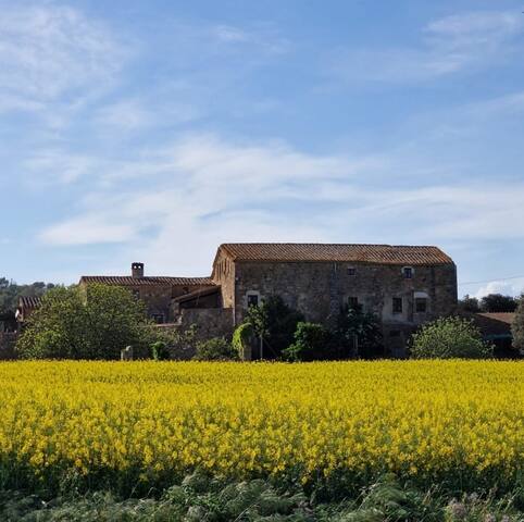 Mas Vilà ús exclusiu 4 Cases Rurals 20+4 persones gallery image 2