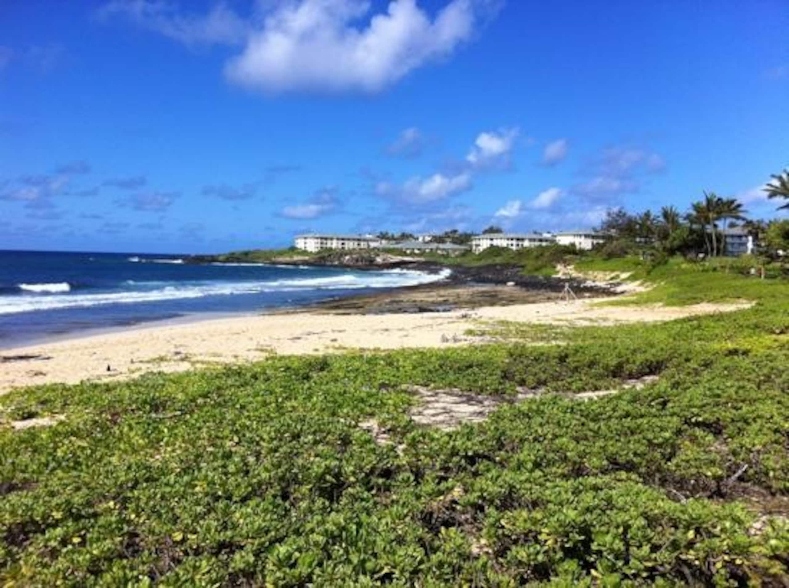 Condo in Koloa · ★4.88 · 2 bedrooms · 3 beds · 2 shared baths - Image 22