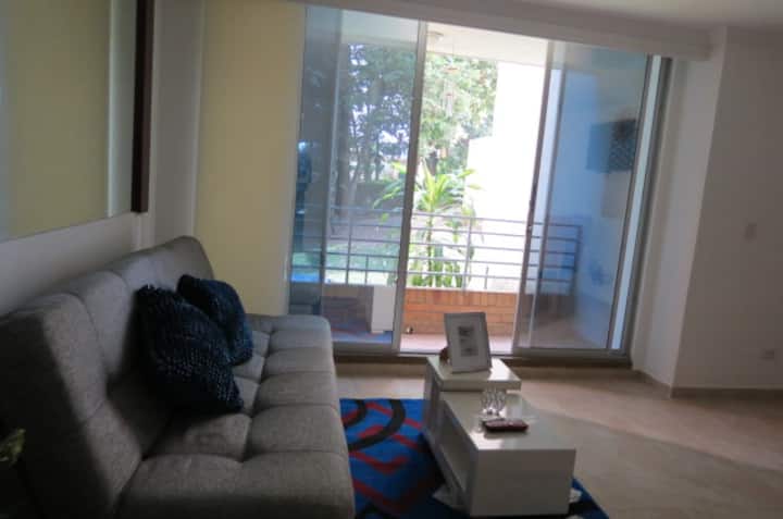 Comodo Y Tranquilo Apartamento - Ibagué