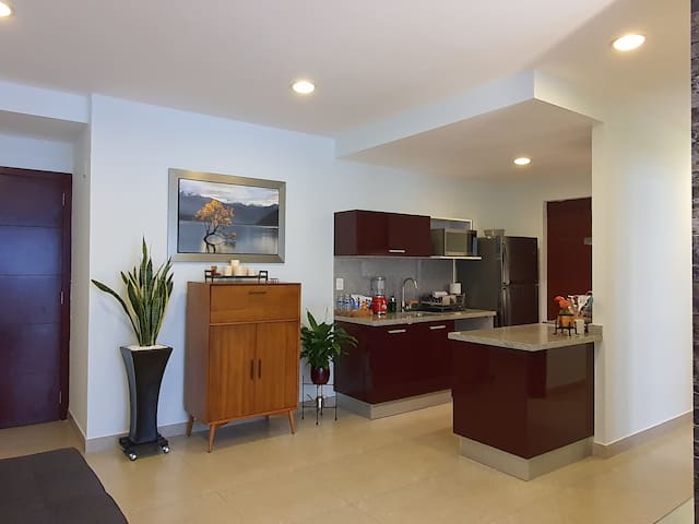 Frida Apartment in New Polanco