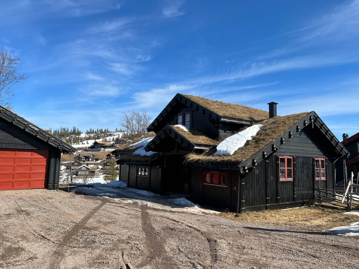The exterior of a traditional wooden cabin is presented, featuring a sloped green roof and striking red window frames. A gravel driveway leads to the entrance, while patches of snow remain visible in the surrounding landscape under a clear blue sky.