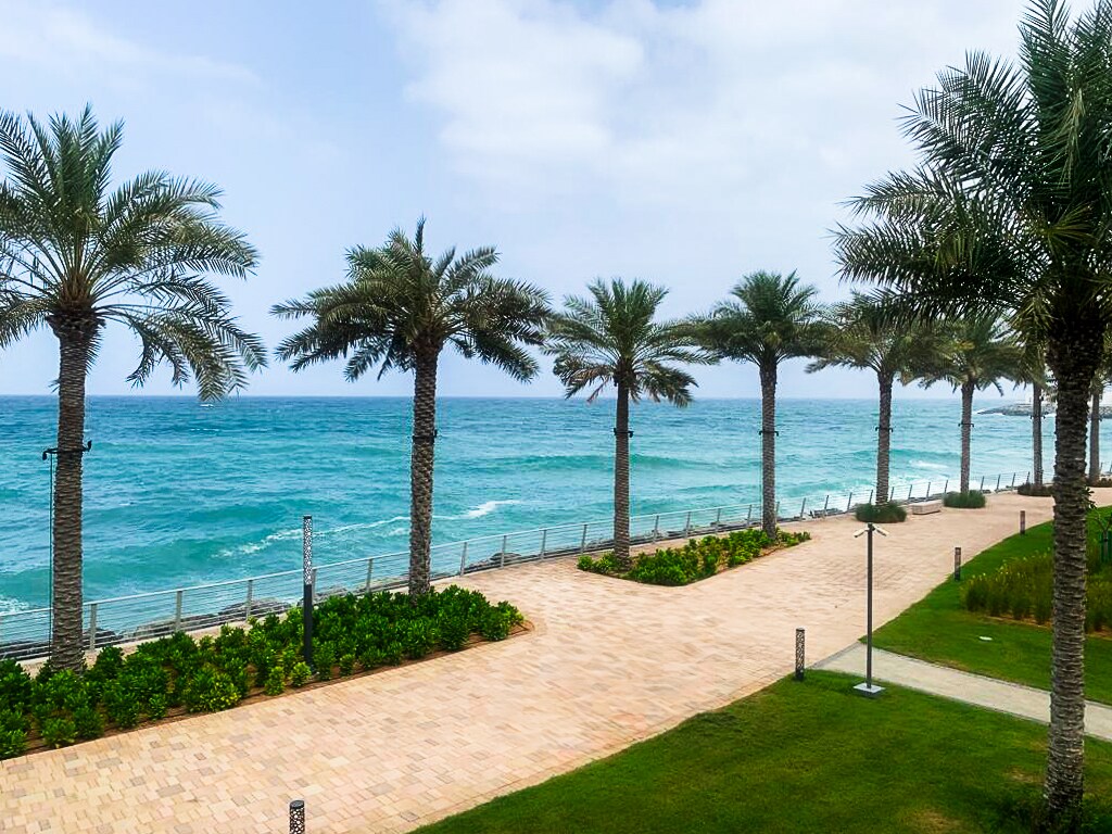 A scenic beachfront pathway lined with palm trees gently swaying in the sea breeze. The turquoise waves of the ocean are visible in the background, contrasting with the sandy walkway and lush green landscaping, creating a serene seaside atmosphere.