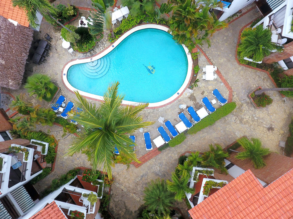 An aerial view captures a curvy swimming pool surrounded by lush greenery and lounge chairs in vibrant blue. The pool area is bordered by terracotta tiles and pathways, leading to several buildings with thatched roofs. Tropical plants create a serene atmosphere.