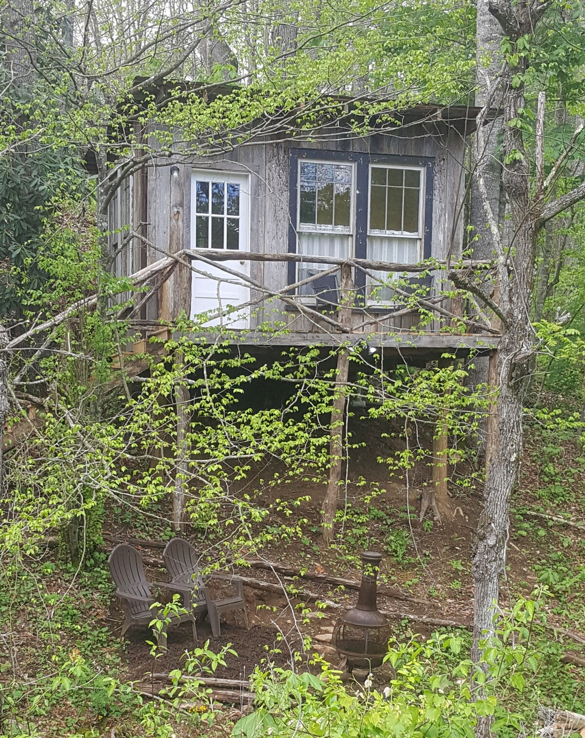 A rustic tree house cabin sits elevated among lush greenery. Two large windows allow natural light, while a pair of chairs and a fire feature are set at the base, surrounded by emerging foliage. The weathered wood structure blends harmoniously with the natural surroundings.
