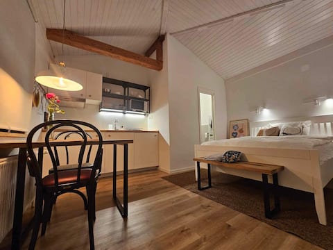 Top performing Airbnb: Bright & cozy studio near Bled | Countryside in Radovljica