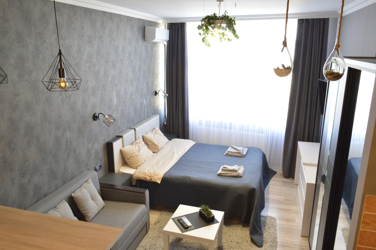 A contemporary studio space features a spacious bed with neutral bedding and a textured gray wall backdrop. A comfortable sofa is positioned nearby, and a small coffee table sits in front. Natural light enters through a large window, complemented by dark curtains and decorative hanging plants.