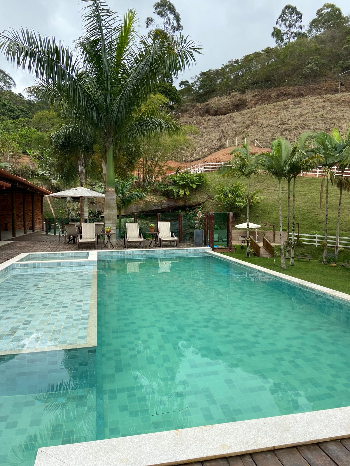 A serene outdoor area showcases a spacious pool surrounded by lush greenery and palm trees. Several lounge chairs are placed nearby, and a shaded seating area with umbrellas is visible for relaxation.