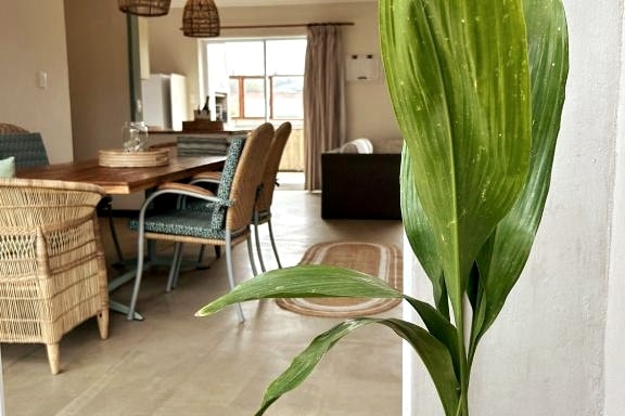 A decorative green plant is positioned in the foreground. In the background, a dining area with a wooden table and rattan chairs is visible, along with a living space featuring a sofa and large window allowing natural light to enter the room.