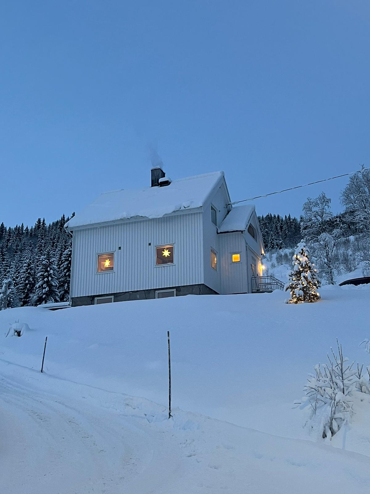 A snow-covered house with a sloped roof is set against a backdrop of evergreen trees. Warm light emanates from the windows, creating a cozy atmosphere. A small tree adorned with decorations stands nearby, emphasizing the serene winter landscape.