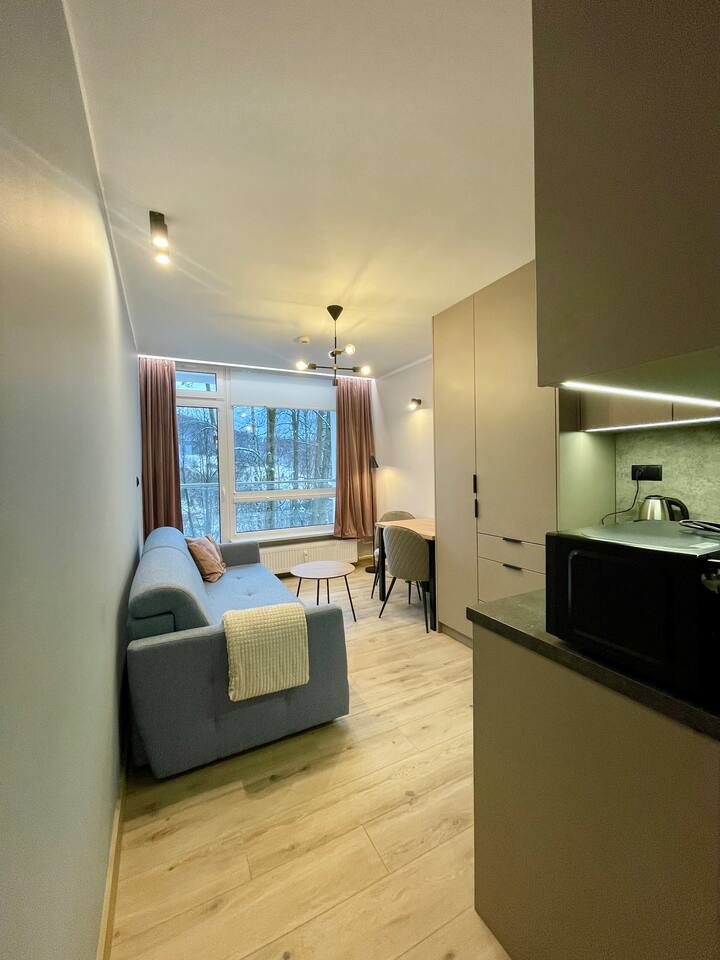 Apartament Deluxe Ustroń