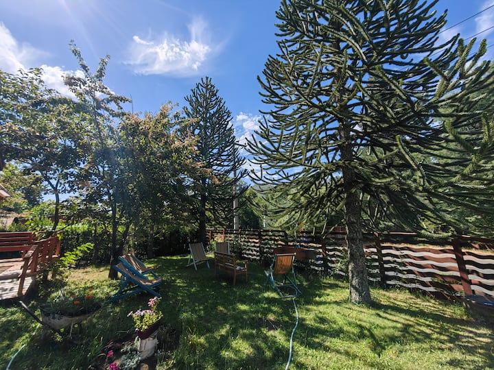 Cabin in Nevados De Chillan