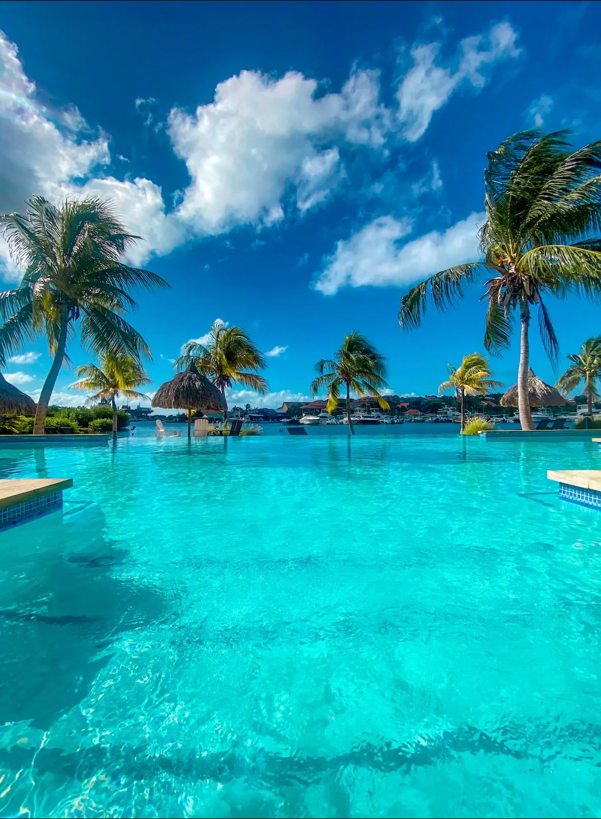 An expansive infinity pool is framed by palm trees, offering serene views of the surrounding landscape. The crystal-clear water reflects the blue sky and fluffy white clouds, creating a tranquil atmosphere. Various shaded lounging areas and vibrant greenery complement the picturesque setting.