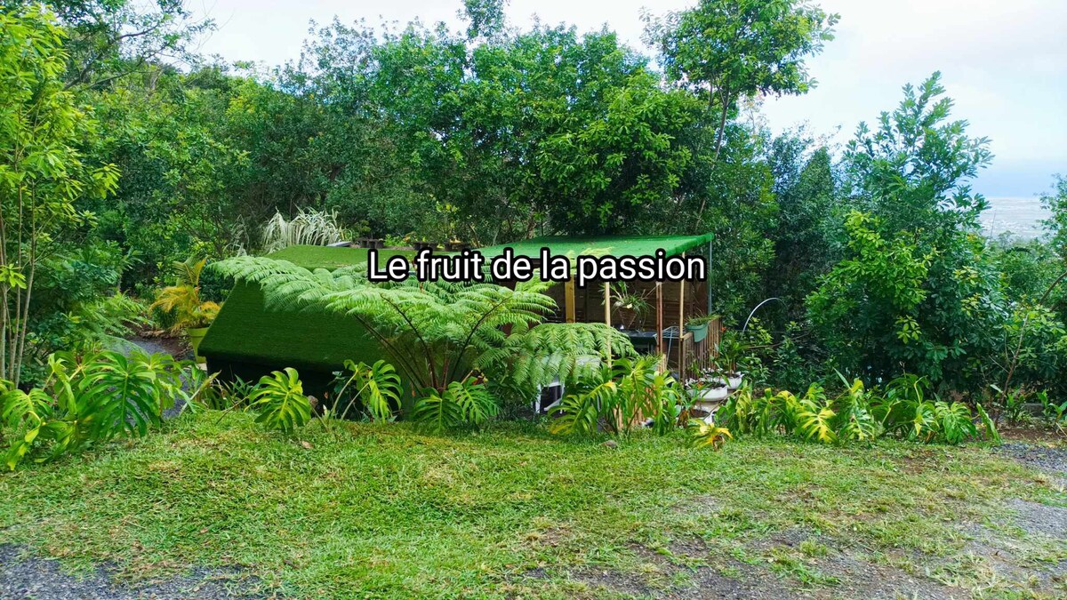 A charming cabin nestled within lush greenery is surrounded by tropical plants. The roof is covered in vibrant green, blending harmoniously with the natural environment. Steps lead up to the entrance, inviting guests to experience the serene setting.