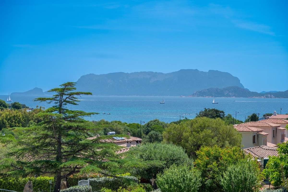 The image offers a panoramic view of the sea and distant hills, complemented by a clear blue sky. Various boats can be seen on the water, while lush greenery and rooftops populate the foreground. The scene highlights the serene coastal environment.
