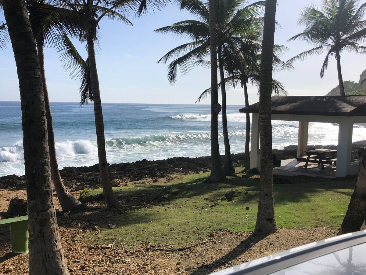 A serene coastal view features rolling waves breaking onto rocky shore. Lush green grass leads to a shaded pavilion with a picnic table, framed by tall palm trees swaying gently in the breeze. The clear sky reflects a tranquil atmosphere over the ocean.