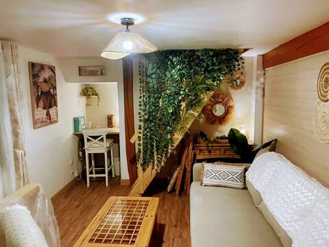 Beautiful downtown duplex