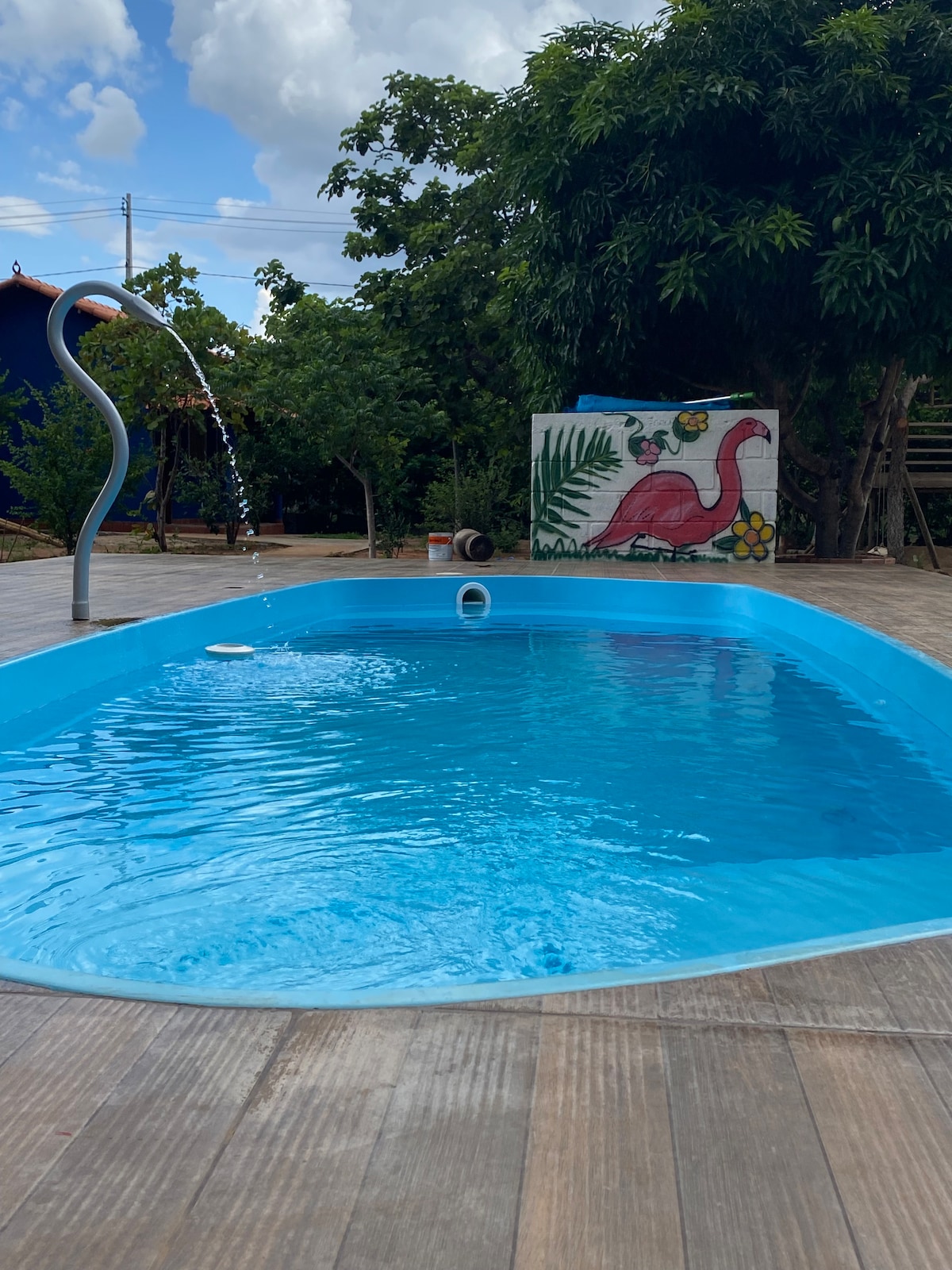 A swimming pool with clear blue water is surrounded by wooden decking, offering a serene setting. A vibrant mural of a flamingo is visible on a nearby wall, complemented by lush greenery in the background. The poolside area provides a refreshing retreat.