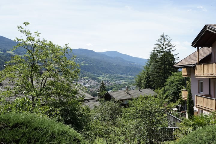 Villa Kranebitt-modern Home In The City - Brixen