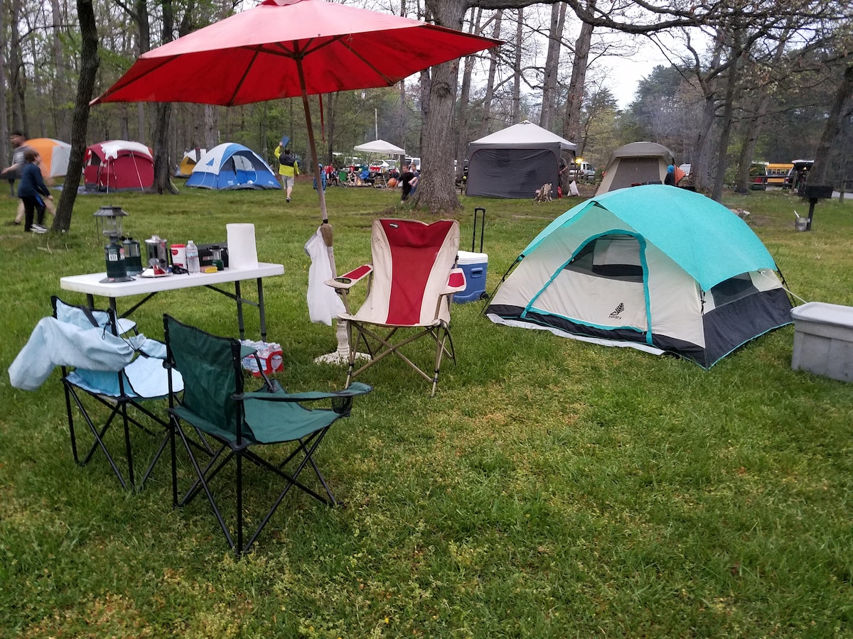 A grassy area is set up for camping, showcasing two folding chairs and a table with a camping stove. An umbrella provides shade over the seating. A blue tent is pitched nearby, surrounded by additional tents in the background among the trees.