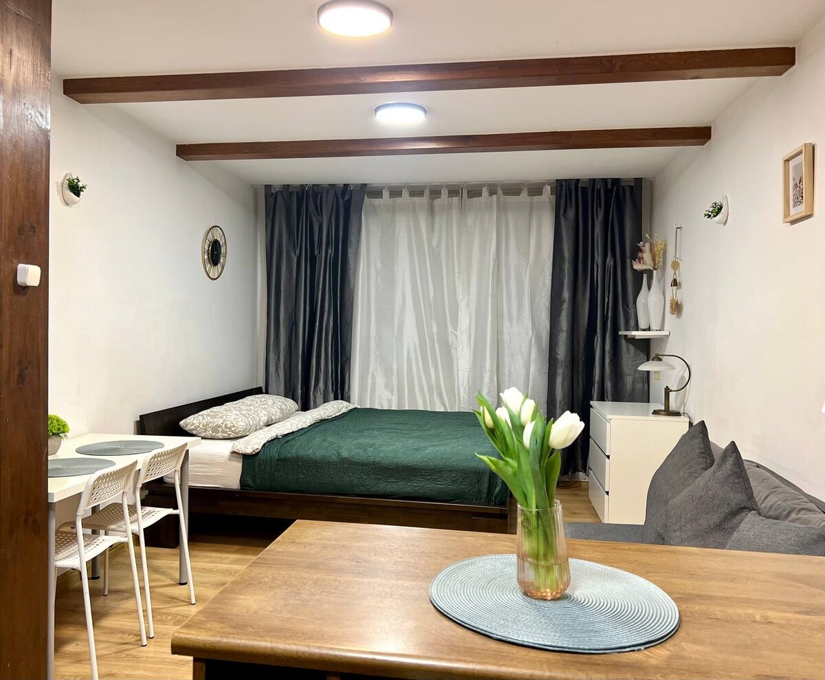 The living area features a spacious bed with a dark green bedspread. A small dining table with four chairs is positioned nearby. Light curtains frame a set of large windows, allowing natural light to brighten the room. Decorative elements include potted plants and wall art.