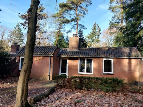 Cozy switching bungalow