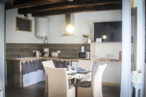 Bright 35m² apartment in the city center