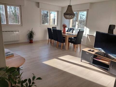 Spacious and bright apartment near Zénith