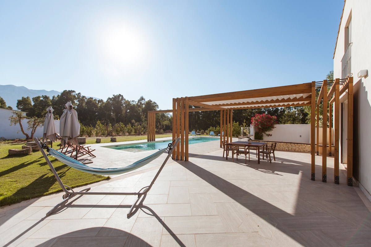 A spacious outdoor patio features a wooden pergola providing shade over a dining area. A hammock is seen nearby, and lounge chairs are positioned by the pool, which reflects sunlight. Lush green gardens surround the space, enhancing the serene environment.