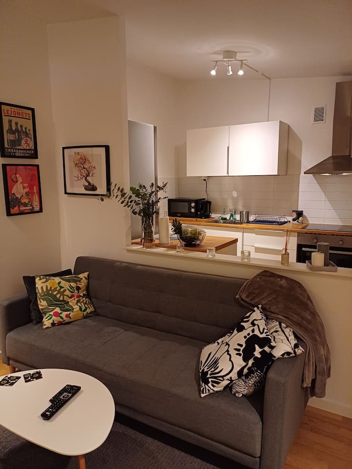 Apartment In Central Malmö - Malmö