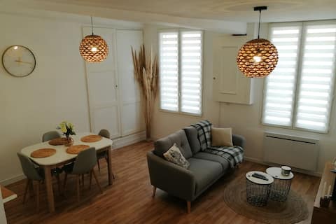 Cozy duplex in the center of Nogent/Seine