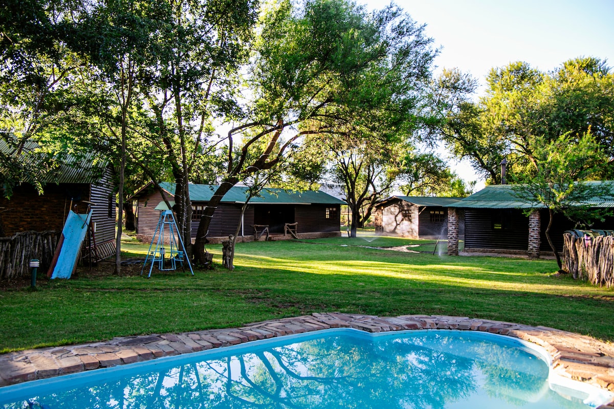 A refreshing pool is surrounded by a lush green lawn, complementing several wooden cabins with green roofs under a clear sky. Tall trees provide shade, while a swing set adds a playful element to the outdoor space.
